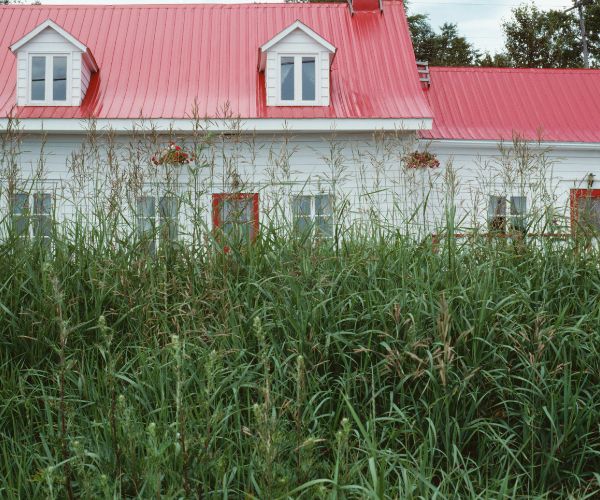 House with overgrown yard by By Photos.com