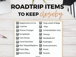 Road Trip Items to Keep Closeby